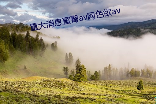 重大消息蜜臀av網色欲av