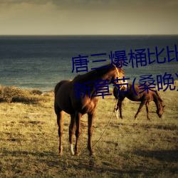 唐三爆桶比比東下面不亦樂乎最新章節(桑晚)