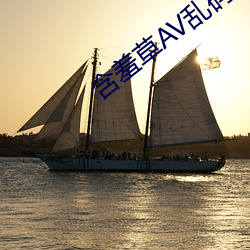 含羞草AV乱码