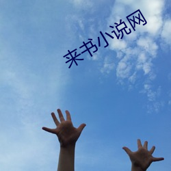 来书(書)小(小)说网
