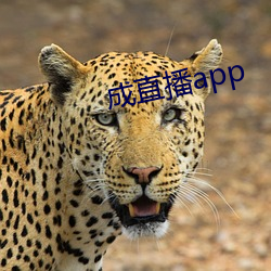 成(成)直播app