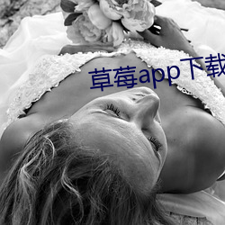 草莓app下载汅api免费秋 （火主）