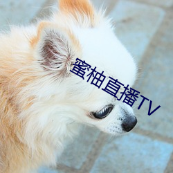 蜜柚直播TV