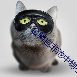 金鱗豈非池中物小說