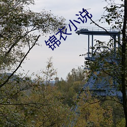 锦衣小(xiǎo)说(shuō)