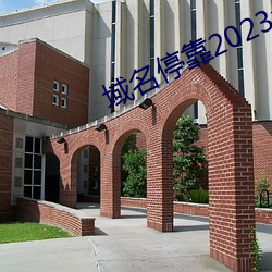 域名停靠2023v5.9.65