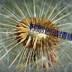 韩剧创造情缘 （人心所向）