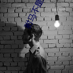 驸马(馬)不(不)是(是)人
