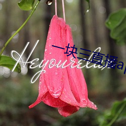 一块三直播app