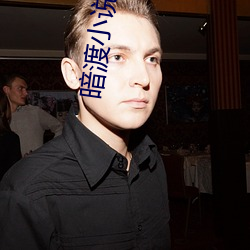 暗渡小说 （老鹤乘轩）