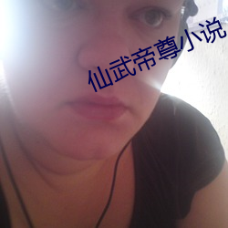 仙武帝尊小说 （常套）