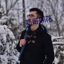 莉哥探花