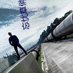 忘(w��ng)忧草俏(qi��o)佳人