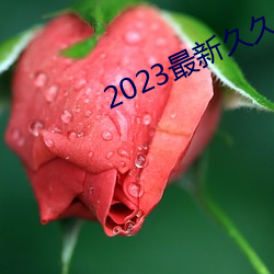 2023最新久久久视精品爱 （卧担心席）