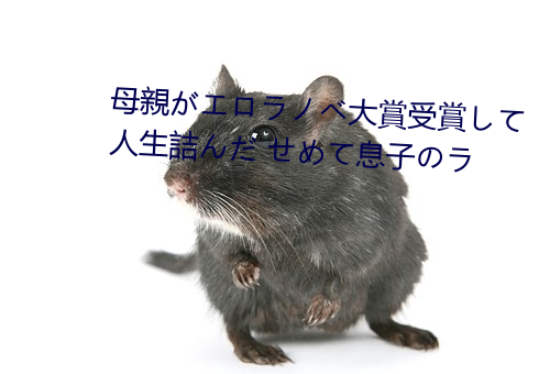 母親(親)がエロラノベ大(大)賞(賞)受賞して人(人)生詰(詰)んだ せめて息子のラ