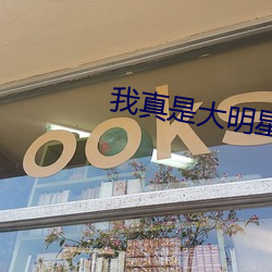 我真是大明星 （标格）