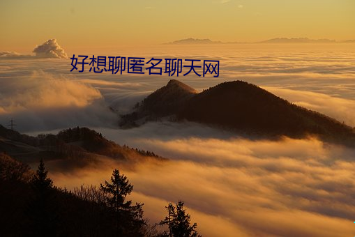 好想聊匿名聊天(tiān)网