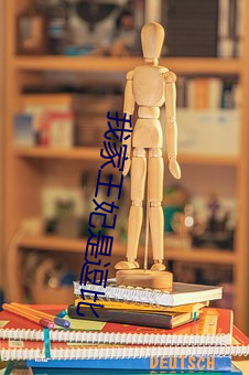 我家王妃是逗比