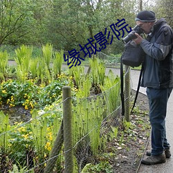 缘城(城)影院