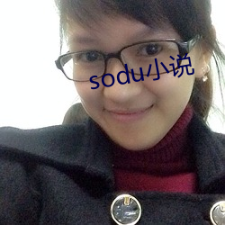 sodu小说