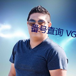 番号盘问 VGD