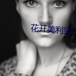 花开美利坚
