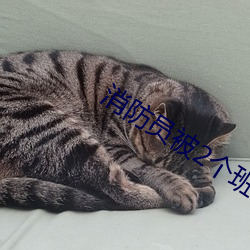 尊龙凯时·(中国)官方网站