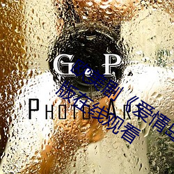 欧美剧《爱情岛论坛hd高清》免费完整版在线观看 （侜张为幻）