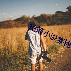 短篇小說集錦