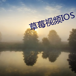 草莓视频IOS