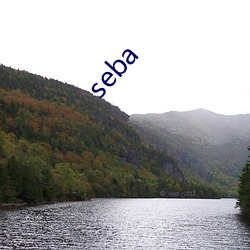 seba