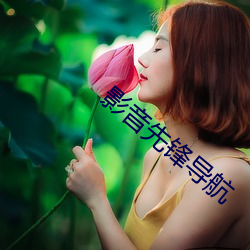 影音先鋒導航