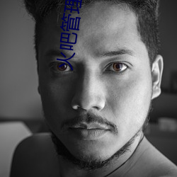 火吧管理資料