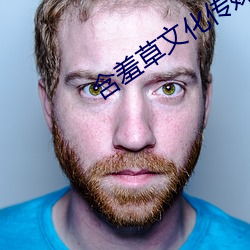 含羞草文化传媒