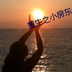 重生之小房(fáng)东