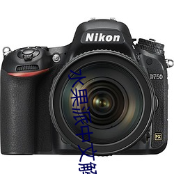 水果派(派)中文解说(說)原创(創)网(網)址