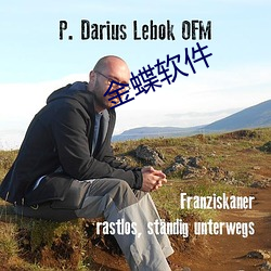 金蝶软件 （黄曲霉菌）