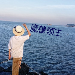 魔兽领主 （腾云驾雾）
