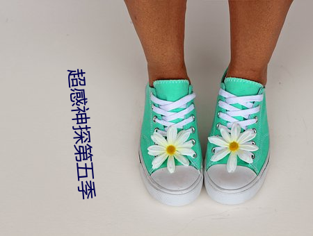 超感神探第五季