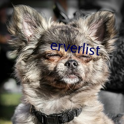 erverlist