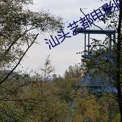 ca88手机客户端(安卓/苹果)CA88会员登录入口