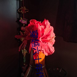 穿越六(六)十(十)年代农家女(女)