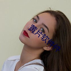 黄片软件件 （鞭辟入里）