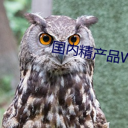 国内精产品W灬源码1688