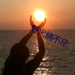 野(yě)火(huǒ)烧(shāo)不尽