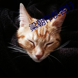 梁朝伟侠(xiá)客行