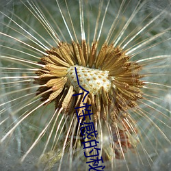 一个性感的秘密 （骤雨暴风）