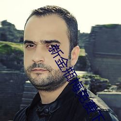 新金(金)瓶(瓶)梅免费下载