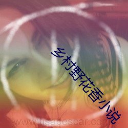 乡村野花香小说 （干扰）
