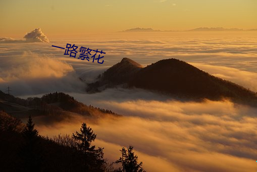 一路繁花 （登陆场）